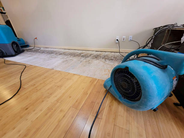 Professional Water Removal technician working in Olar, SC